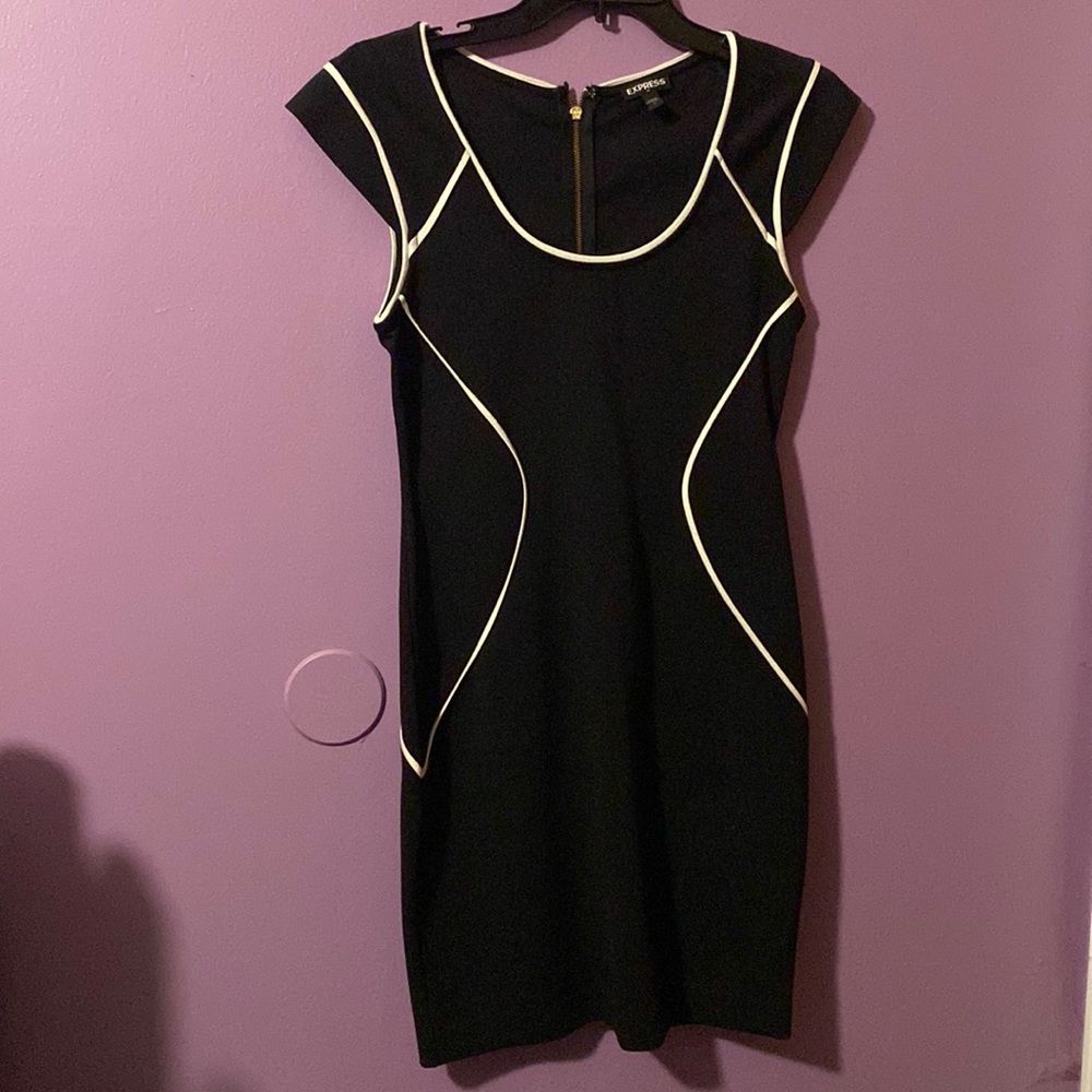 Express Bodycon Dress